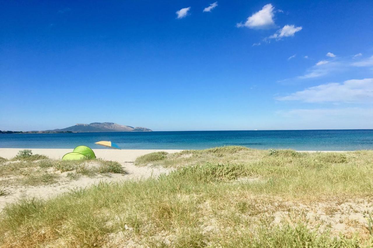 Le Dimore Di Nettuno Olbia